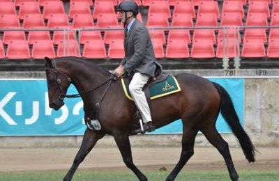 Hunter Freeze Branding